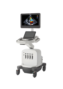 FOC ECHO scan worth of RM500