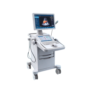FOC Fatty Liver Scan (Fibrotouch) worth of RM500