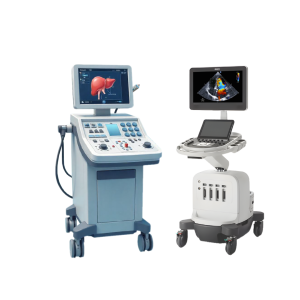 FOC ECHO scan + Fatty Liver Scan worth of RM1000