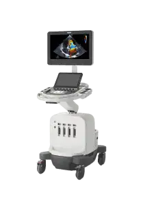 FOC ECHO scan worth of RM500