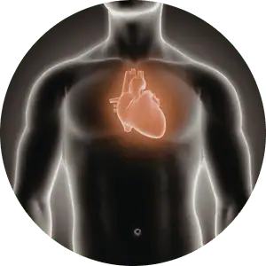 cardiac