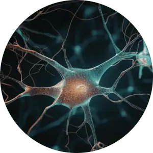 neuro