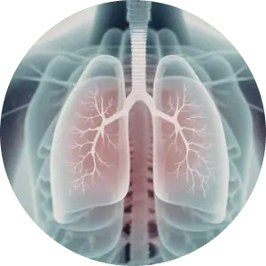 thoracic